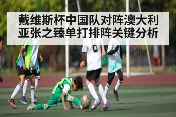 戴维斯杯中国队对阵澳大利亚张之臻单打排阵关键分析
